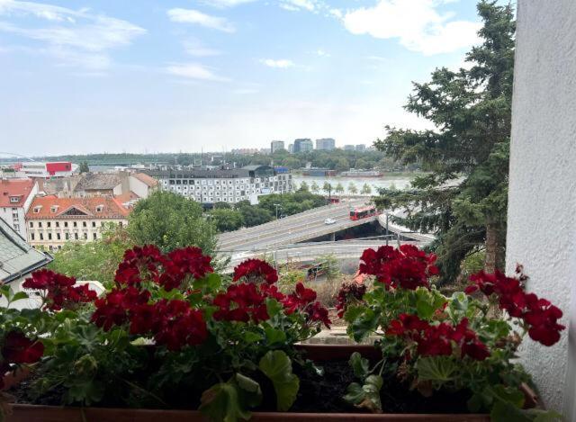 Hostel One Pressburg